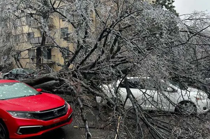 باران یخی و توفان چه بر سر مونترال آورد؟